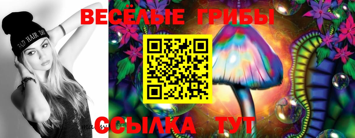 Армавир  Псилоцибиновые грибы Magic Shrooms  Вход с VPN 